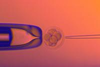 Embryos can be screened for chromosomal abnormalities before implantation.