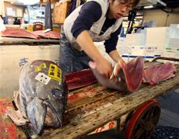 Tsukiji fish market