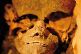 Les momies trouvées dans la tombe du roi Toutankhamon sont au centre d'une dispute sur l'analyse de l'ADN.