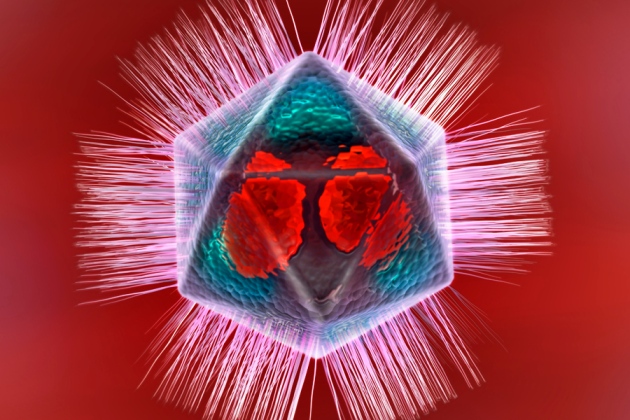 CRISPR-like 'immune' system discovered in giant virus : Nature ...