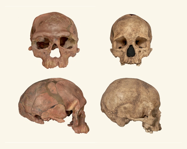 Oldest Homo Sapiens Fossil Claim Rewrites Our Species History Nature News Comment