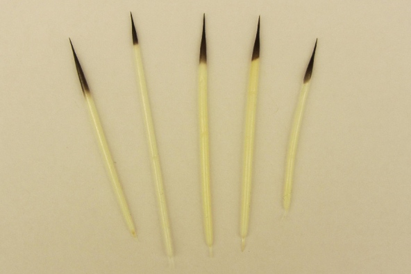 Porcupine Quills Inspire Next Generation Needles