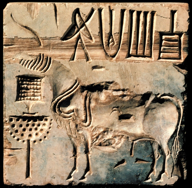 features of indus valley civilization