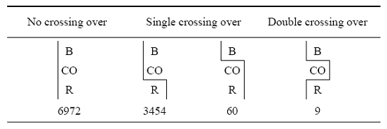 Three of Sturtevant's fly traits are organized in a three-column table in various combinations. The first column shows a single combination of the three traits that does not involve a cross-over event. The middle column shows two combinations of the three traits involving a single cross-over event. The rightmost column shows a single combination of the three traits involving a double cross-over event. The gametic ratio, or presence of recombinants, is shown below each combination of traits.