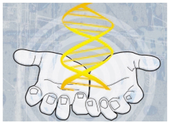 An illustration shows two disembodied hands in a cupped position, with the open palms of each hand facing upward. The hands are grey against a light blue background, and are cupping a yellow, simplified DNA molecule rising out of them. The DNA molecule is composed of two parallel strands coiled together to form a double-helix. Horizontal lines are arranged in parallel from the top of the molecule to the bottom, connecting the two strands, and resemble rungs on a ladder.