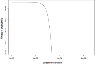 The probability that a harmful, heterozygous mutation will become fixed is shown as a function of the selection coefficient in this line graph. Fixation probability is plotted on the vertical Y-axis, and the selection coefficient is plotted on the horizontal X-axis. Fixation probability is high at a low selection coefficient, and the graph is shaped like a plateau between 1 times 10 to the minus 10 and 1 times 10 to the minus seven. When the selection coefficient reaches 1 times 10 to the minus 6, higher selection coefficients correspond to lower fixation probabilities, and the graph is shaped like a straight, descending vertical line. A light grey vertical line splits the graph into two halves and marks the point where selection coefficient begins to decrease fixation probability.