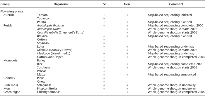 This table provides information on 23 public flowering plant genome sequencing projects. The first column lists the plant groups, the second column names the organisms, the third column identifies plants for which ESTs were sequenced, the fourth column identifies plants for which the entire genome was sequenced, and the fifth column provides comments on the progress of the sequencing project as of the year 2005.