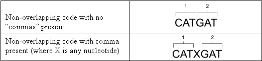 This table shows examples of the genetic code in the absence or presence of \"commas\" between codons. In the top row, a non-overlapping code with no commas present is represented by the codon CAT followed immediately by the codon GAT. In the second row, a non-overlapping code with a comma present is represented by the codon CAT followed by a single random nucleotide followed by the codon GAT.