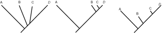 Three phylogenetic tree diagrams show relationships between the same four taxa, each resulting from the same root, represented as a diagonal black line. The taxa are labeled A, B, C, and D, from left to right. In the leftmost diagram, the four branches are approximately the same length with evenly spaced nodes occurring early in the phylogenetic tree. In the middle diagram, the branch representing taxon A is three times as long as the branches representing taxa B, C, and D; and B, C, and D have nodes at the upper right end. In the rightmost diagram, the four branches are of varying lengths. Branch A is the longest, and branch C is the shortest. The nodes are distributed randomly.