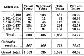 This five-column table shows data collected from genetic crosses between heterozygous yellow mice. The columns track the Ledger number and numbers of yellow young, non-yellow young, total young, and percent yellow. The total number of individuals in each category of phenotype is shown in the row above Cuenot's experimental results for comparison. The totals and Cuenot's data have been summed to yield a grand total in the bottom-most row.