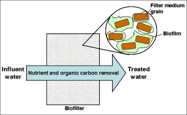 Biofiltration as a treatment technology in water and wastewater purification.