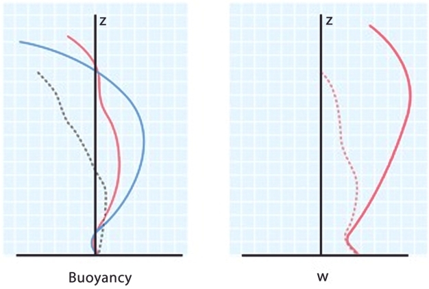 Schematic illustration of the (a) upward buoyancy force on a rising air parcel expected from its lower density