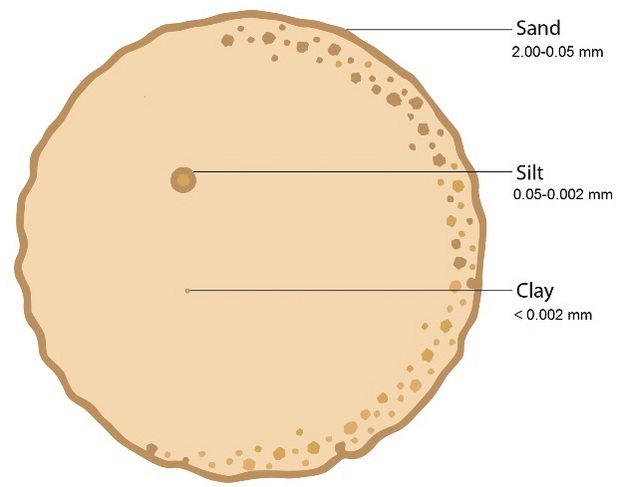 Relative sizes of sand, silt, clay.