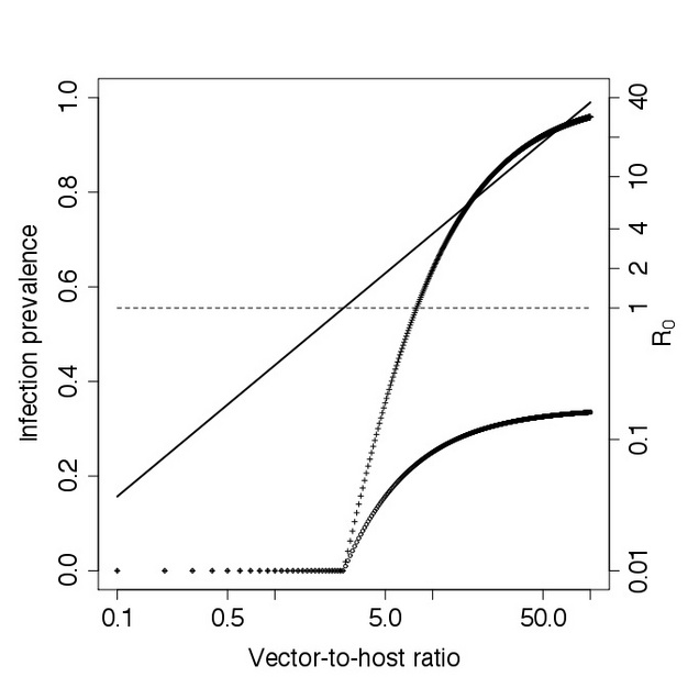 Infection prevalence and R0 with increasing vector-to-host ratio in the Ross-Macdonald model