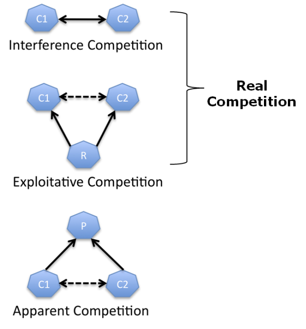 The three major types of competitive interactions.