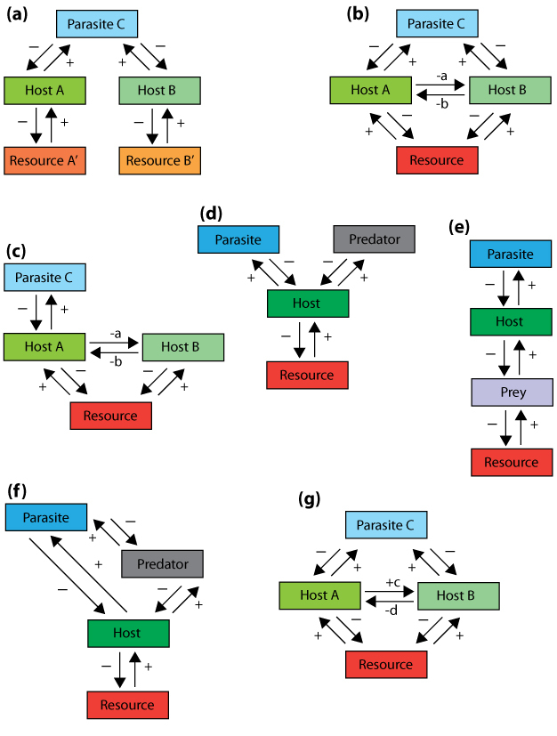 Multiple conceptual models of species interactions that involve parasites.
