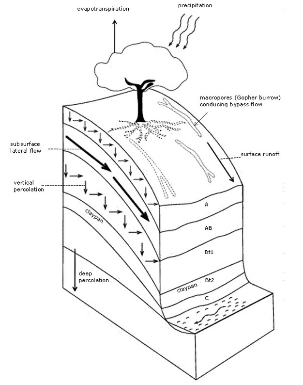Conceptual diagram of a soil profile illustrating the multiple flow paths through which water
