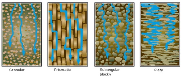 Water movement through different soil structure shapes.