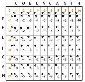 A grid diagram shows the alignment matrix of the words Coelacanth along the top of the grid and Pelican down the left side of the grid. The top row of boxes is filled with orange numbers from 0 to -10. Each box except the first box contains a black left-pointing arrow. The left-most column of boxes is filled with orange numbers from 0 to -7. Each box except the top box contains a black upward-pointing arrow. The remaining boxes in the grid are filled with black numbers between 0 and -10 and contain arrows pointing left, upward, or diagonally up and to the left.