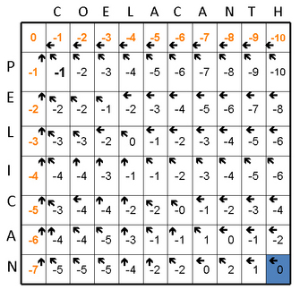 A grid diagram shows the alignment matrix of the words Coelacanth along the top of the grid and Pelican down the left side of the grid. The top row of boxes is filled with orange numbers from 0 to -10. Each box except the first box contains a black left-pointing arrow. The left-most column of boxes is filled with orange numbers from 0 to -7. Each box except the top box contains a black upward-pointing arrow. The remaining boxes in the grid are filled with black numbers between 0 and -10 and contain arrows pointing left, upward, or diagonally up and to the left. Specific boxes are shaded blue to show the best alignment between the two words.