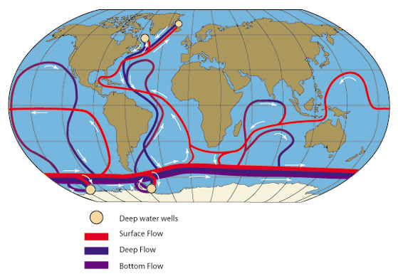 Global oceanic circulation