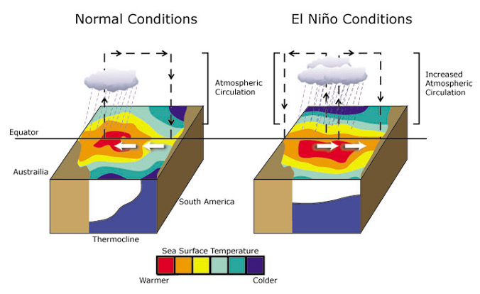 El Niño-southern oscillation