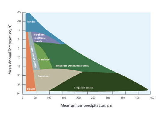 The distribution of vegetation types as a function of mean annual temperature and precipitation. 