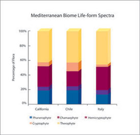 Espectros de formas de vida en climas similares de tipo mediterráneo en diferentes continentes