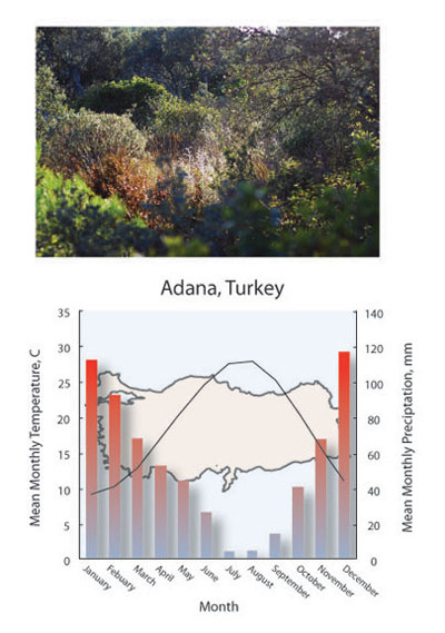 Diagrama climático del bioma mediterráneo