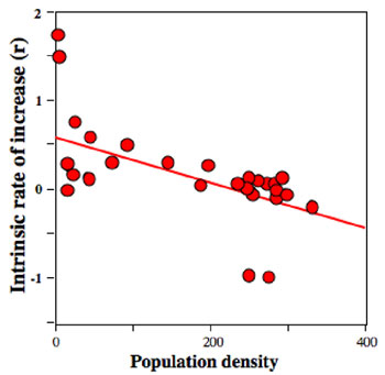 Representing the intrinsic rate of increase as a function of population density for a laboratory population of Paramecium