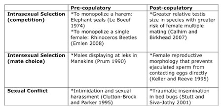 Some examples of when and how sexual selection operates