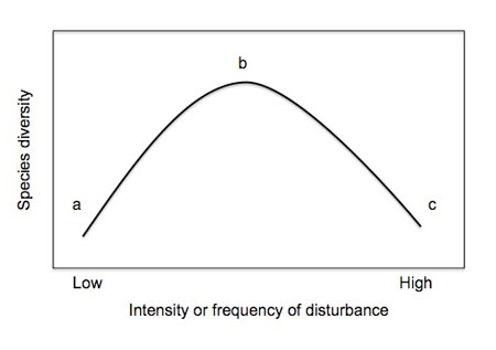 The intermediate disturbance hypothesis (IDH)