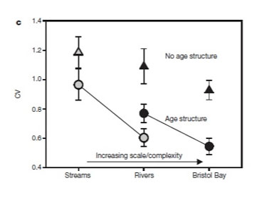 Effects of salmon population diversity on catch variation in Bristol Bay, AK