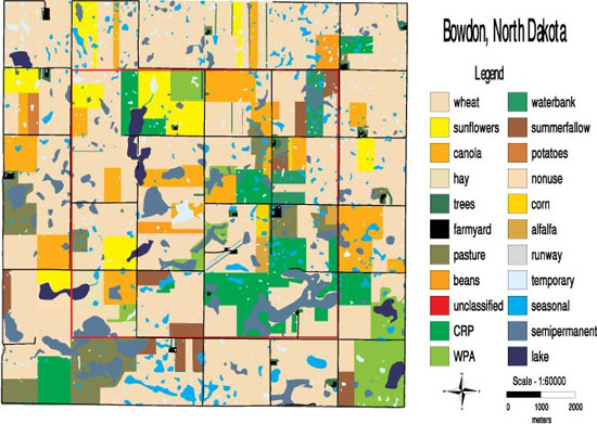 A map of classified habitats in the landscape near Bowdon, North Dakota, USA
