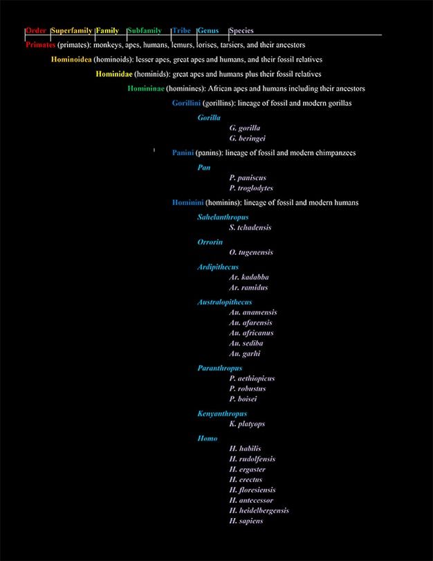Taxonomy for human ancestors.