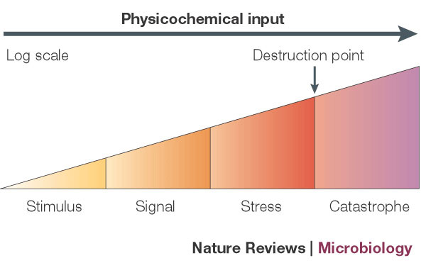 A diagram shows that an environmental signal elicits different types of responses depending on the intensity of the signal. A horizontal arrow that runs from left to right across the top of the diagram represents increasing physicochemical input. Responses to the input are shown below on a graph that is shaped like a right triangle. The bottom of the triangle is horizontal. The top of the triangle is an upward sloping line; the height of this line increases with increasing physiochemical input. The right side of the triangle is a vertical line. The triangle is sectioned into four parts with vertical lines to show different responses at different signal intensities. These responses from lowest to highest signal intensity are stimulus, signal, stress, and catastrophe. The vertical line separating the stress response from the catastrophe response is labeled destruction point, because the level of signal in the catastrophe section results in cell death.