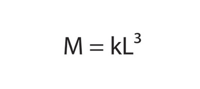 Martinez Equation 1