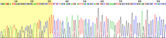 Example of DNA sequence data
