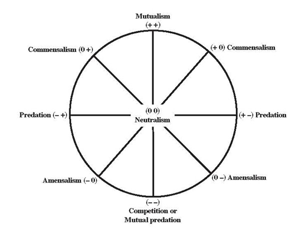 The interaction compass, in which the main types of direct effects are represented as points on the compass, but interactions between individuals or species can fall at any point along the continuum as positive and negative effects change. 
