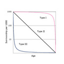 Idealized survivorship curves
