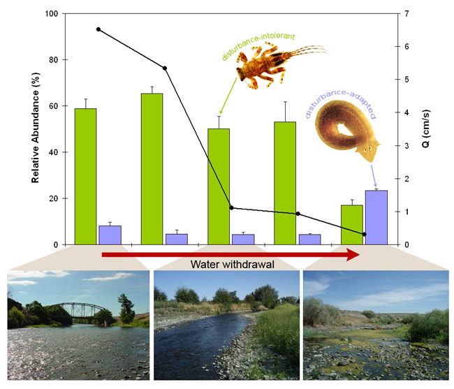 Aquatic macroinvertebrates document a shift in community composition related to human-induced water withdrawals.