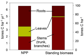 Net primary production (NPP) and standing biomass allocation for a 90-year-old Michigan forest estimated from inventory-based methods in which biomass growth is quantified over time (Gough <i>et al.</i> 2008)