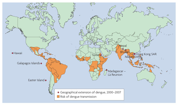 On this world map, most countries are shaded light green. However, some regions are shaded orange to represent areas at risk for dengue infection. Orange areas include: the Southwest border of North America; Central America; the Northern half of South America; Benegal, Guinea, Sierra Leone, Cote D'Ivoire, Ghana, Burkina, Nigeria, Zaire, Angola, Ethiopia, Mozambique, Tanzania, Kenya, Somalia, the northeast corner of Sudan; a northeast region of Pakistan, India, Bangladesh, Burma, Thailand, Vietnam, Cambodia, Malaysia, Indonesia, the Philippines, Papua New Guinea, and the Cape York Peninsula in Australia. Eight regions on the map are marked by a red circle to represent the geographical extension of dengue between 2000 and 2007. The marked regions are: Hawaii, the Galapagos Islands, Easter Island, Sudan, Madagascar - La Reunion, Nepal, Bhutan, Hong Kong SAR, and Matao SAR.