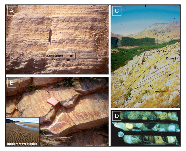 Surface processes preserved in the Barberton Greenstone Belt, South Africa.