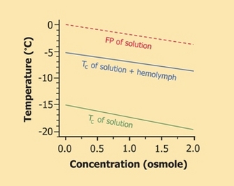 Effect of solute concentration on a solution’s freezing point (FP) and supercooling capacity, as represented by its temperature of crystallization (T<sub>c</sub>)