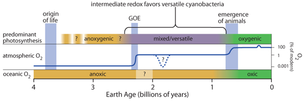Simplified schematic timeline of photosynthesis and the oxygenation of the atmosphere