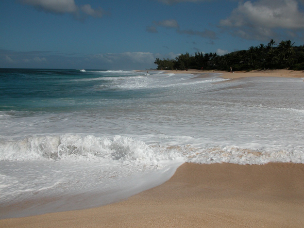 Wave runup on the steep beach face at Ke lli Beach, Hawaii (A. D. Short).