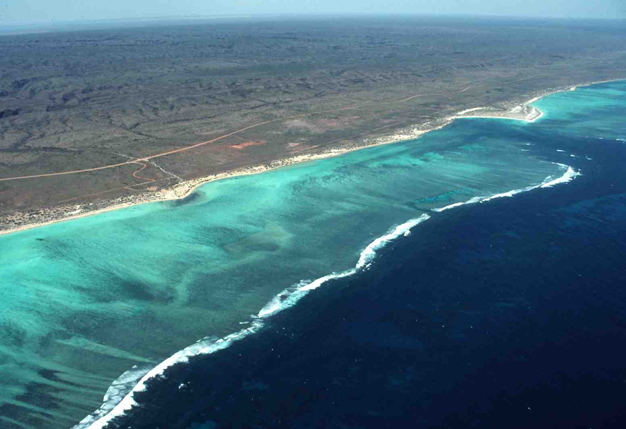 A high tide beach fringed by coral reef at Turquoise Bay, Western Australia, part of the Ningaloo Marine Park (A. D. Short).