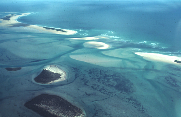 A series of low barrier islands separated by tidal inlets, at Corner Inlet, Victoria, Australia (A. D. Short).