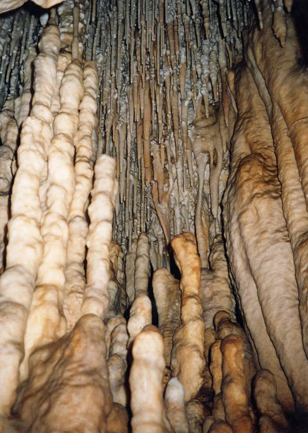 Set of stalagmites with diameter varying with height.